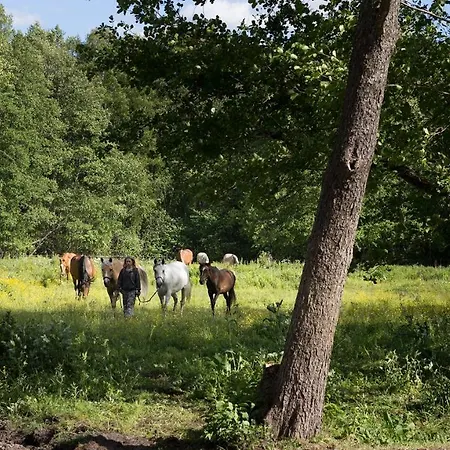 Arma Riding Farm And Holiday home *