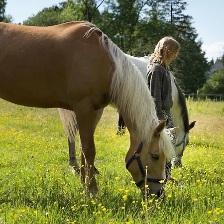 Holiday home Arma Riding Farm And Rutja