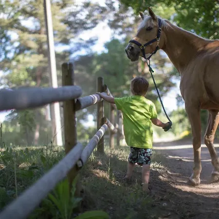 Arma Riding Farm And Holiday home *