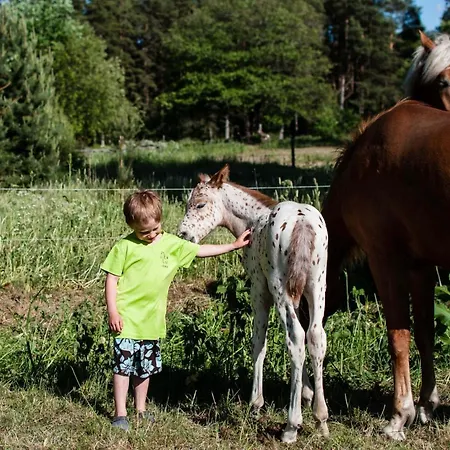 Arma Riding Farm And Rutja