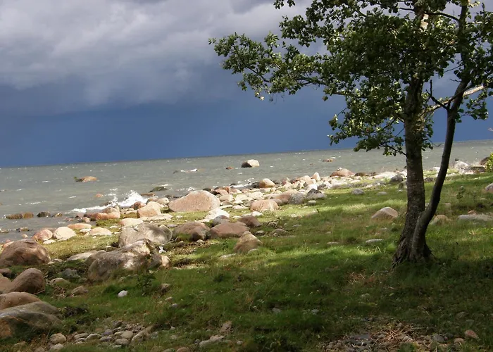 Arma Riding Farm And *