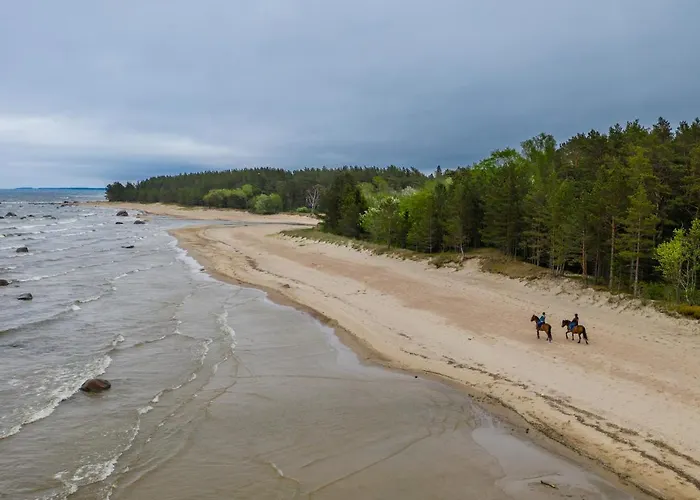 Arma Riding Farm And * Rutja