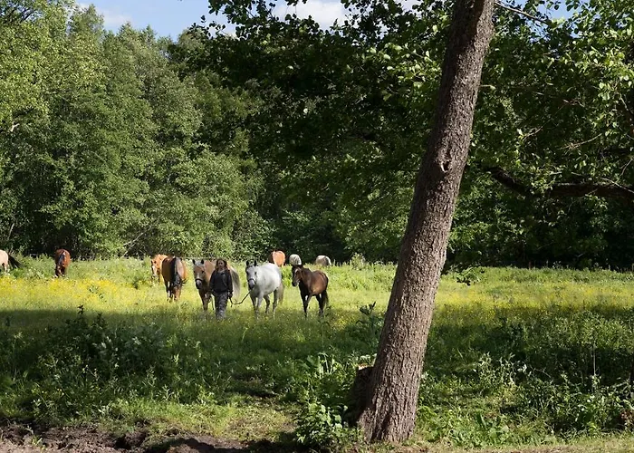 Arma Riding Farm And Holiday home *