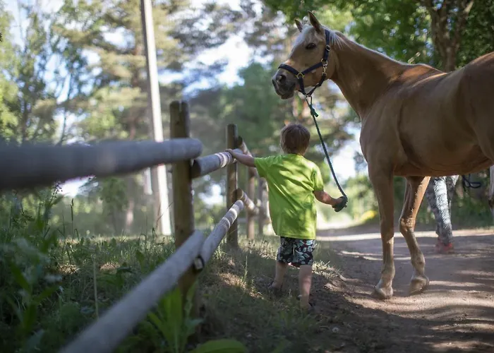 Arma Riding Farm And Holiday home *