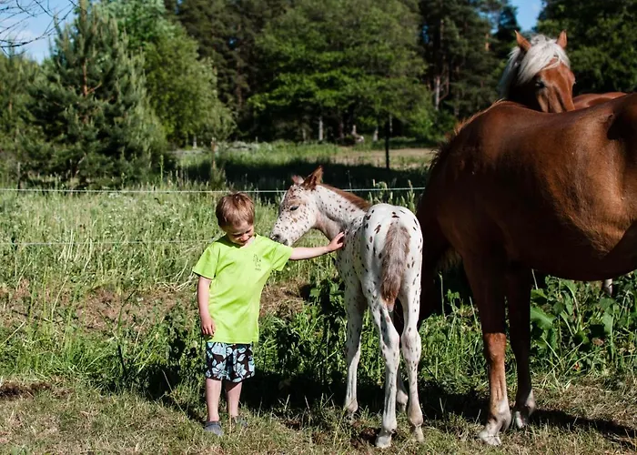 Arma Riding Farm And Rutja