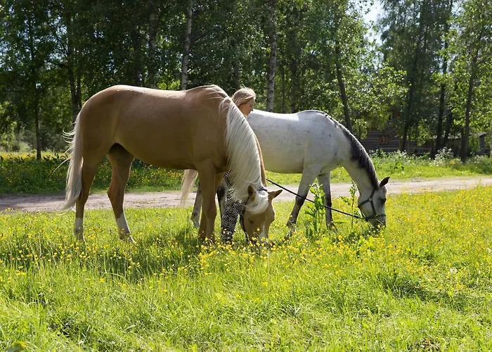 Holiday home Arma Riding Farm And *