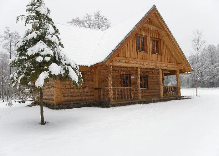 Arma Riding Farm And * Rutja