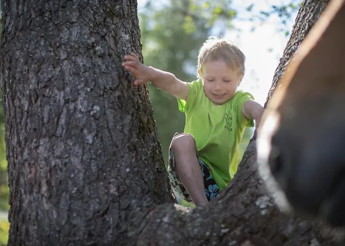 Holiday home Arma Riding Farm And *